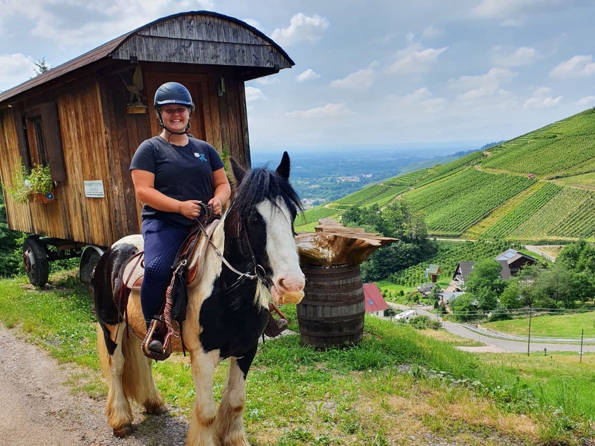 hero_reitbeteiligung